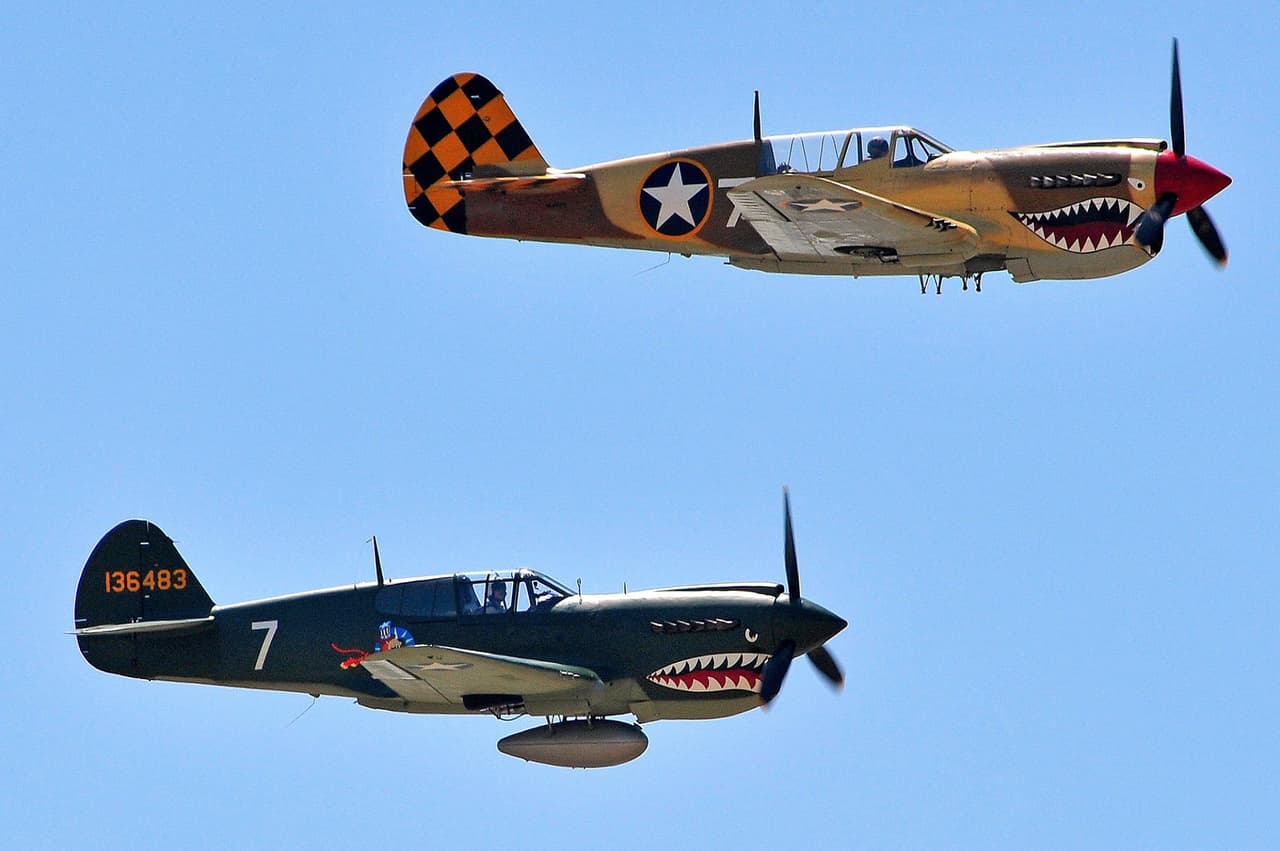 Si bien el evento no contó con la acostumbrada participación del público en el acto de despegue, los californianos salieron a las calles y parques para disfrutar del espectáculo aéreo en medio de la pandemia.