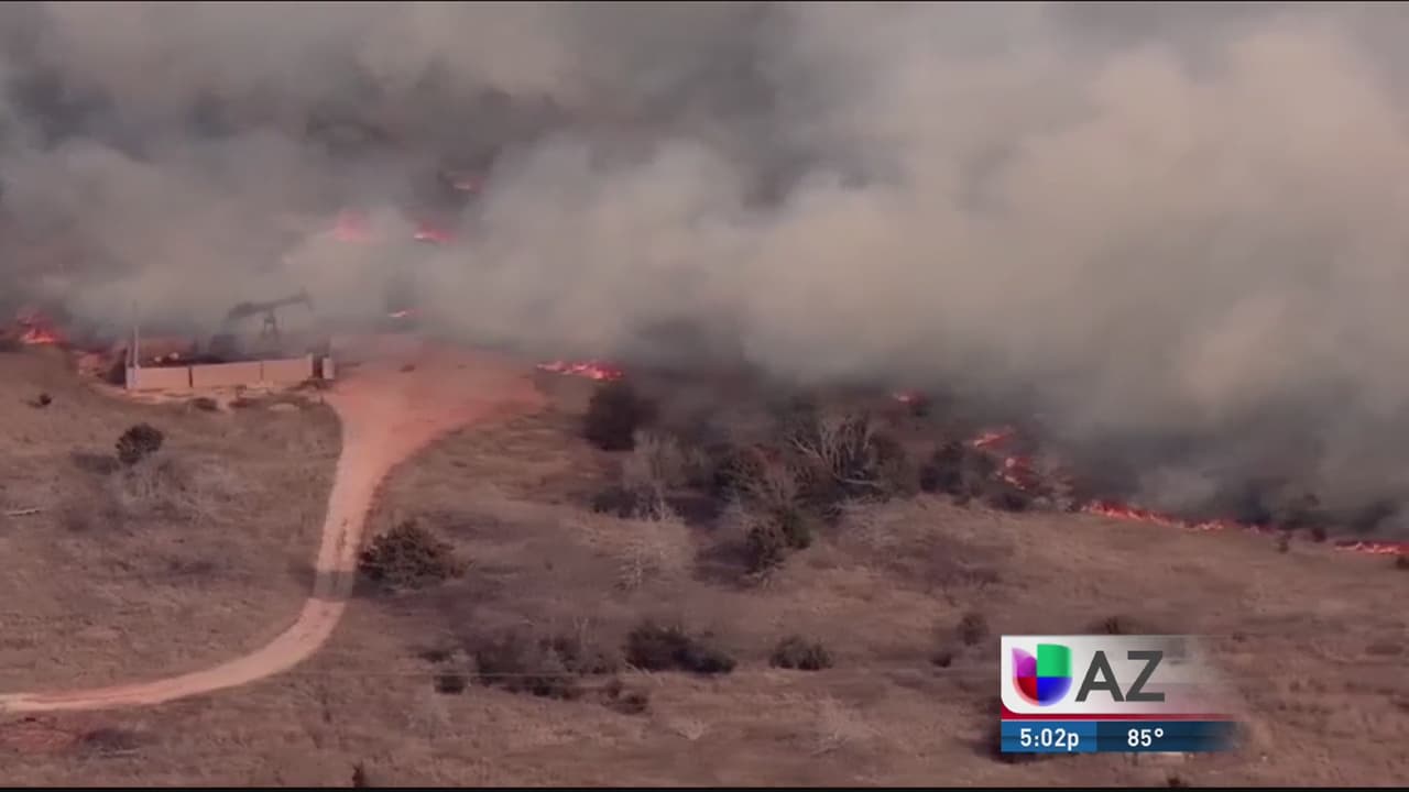 Recomendaciones para prevenir incendios forestales