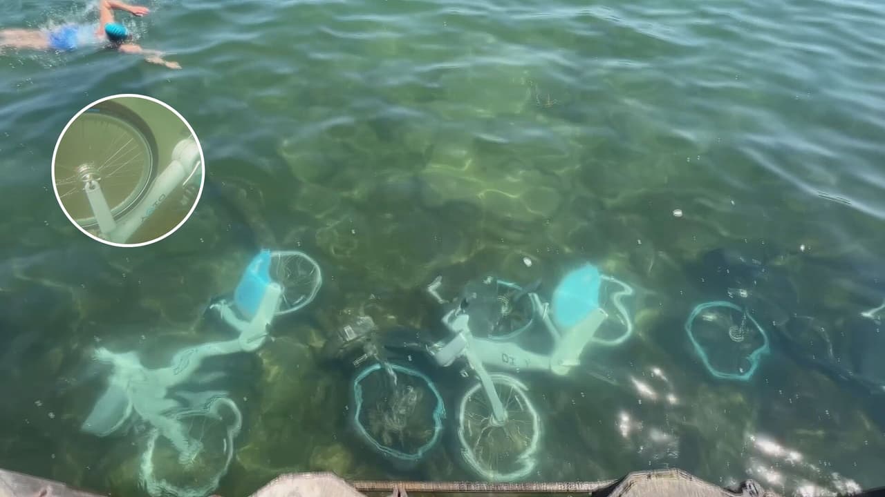 Bicicletas eléctricas y scooters terminan dentro del Lago Michigan: nos sumergimos para mostrarte