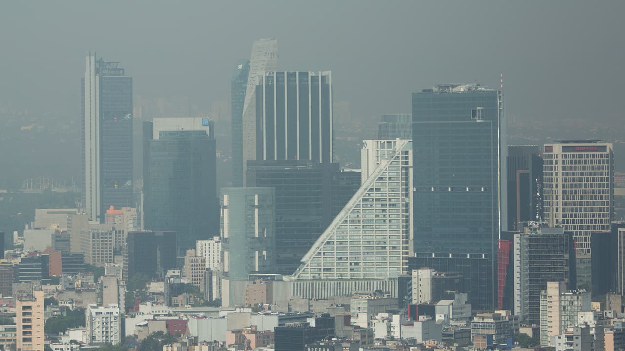 Los altos niveles de contaminación cobran más vidas que todas las guerras y la violencia del planeta, incluso más que el cigarrillo, la hambruna y los desastres naturales, según una investigación.