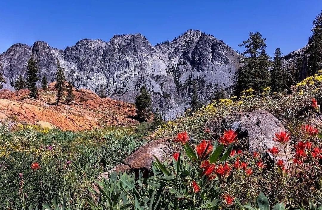 1. El 
<b>Condado de Trinity</b>, al norte de California, tiene el salario promedio más bajo de todo California. En este condado sus habitantes tienen un ingreso promedio de 
<b>$41,780</b>, que es 35.7% por debajo del promedio nacional.
<br>
<br>Si buscas una mejor oportunidad laboral, el 
<a href="https://www.univision.com/local/sacramento-kuvs/trabajo-servicio-impuestos-internos-puestos" target="_blank">IRS está buscando trabajadores</a> que no tengan experiencia.