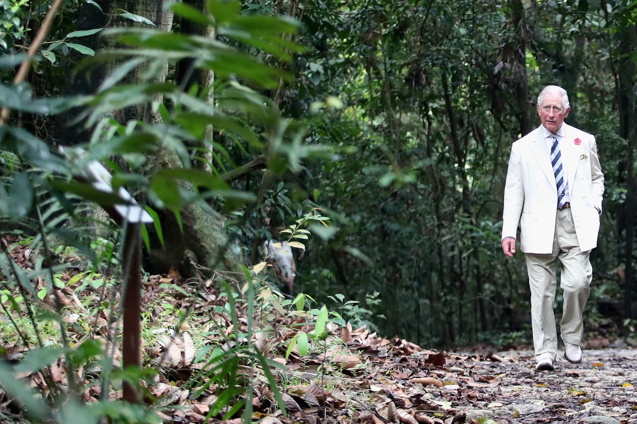 "Todavía recuerdo haber sido tomado cuando era niño, incluso ser llevado en mi cochecito, y era tan especial, estas formas de (las plantas con) animales recortados, pavos reales, pájaros. Nunca lo he olvidado. Diría que 
<b>tuvo una profunda influencia en mí</b>".
<br>