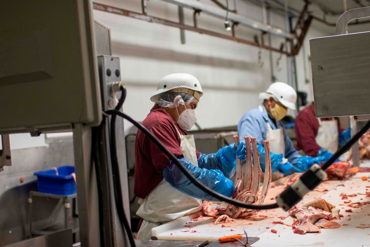 <b>Idaho | Índice de recuperación: 89%. </b>Empleados de una empacadora de carne en plena faena en Rigby, Idaho, a finales de mayo. La investigación encontró que el ahorro personal, es decir, las ganancias que las personas no gastan en consumo o impuestos aumentaron considerablemente en la pandemia. De un promedio cercano al 10%, esta variable llegó a su punto máximo el 1 de abril (34%).