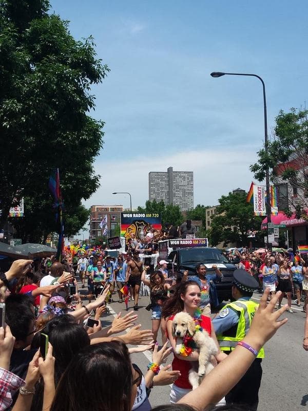Cientos salieron a las calles de Chicago para celebrar el Orgullo Gay.
