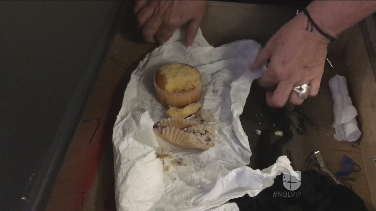 ¿Quién se estaba comiendo este muffin?