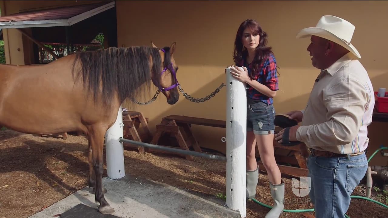 Bárbara estuvo encargada de bañar al caballo.