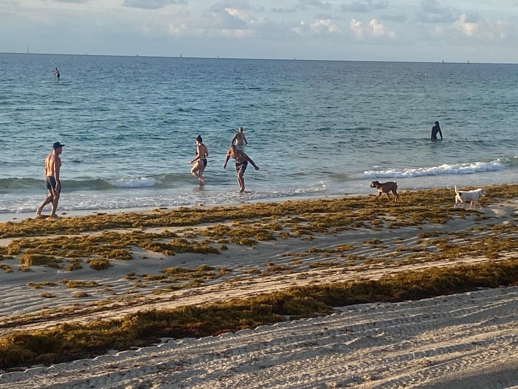 Poco a poco fueron llegando bañistas, quienes querían disfrutar nuevamente del agua, tras casi 90 días sin poder ir, por los cierres del coronavirus.