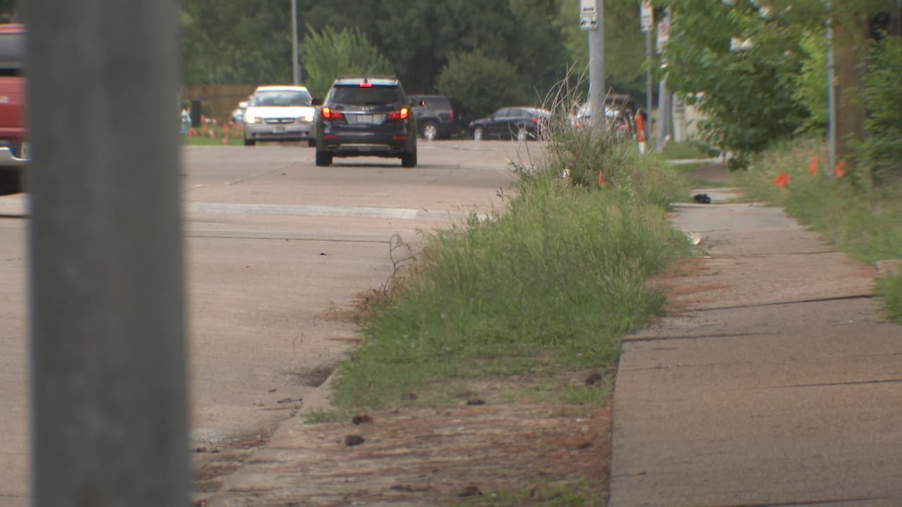 “En este sector hay bodegas y grandes empresas que todo el tiempo usan camiones… están transitando por las calles todo el tiempo. Alguien tuvo que haber visto algo, pero no lo está denunciando todavía”, dijo Nanette Zertuche.