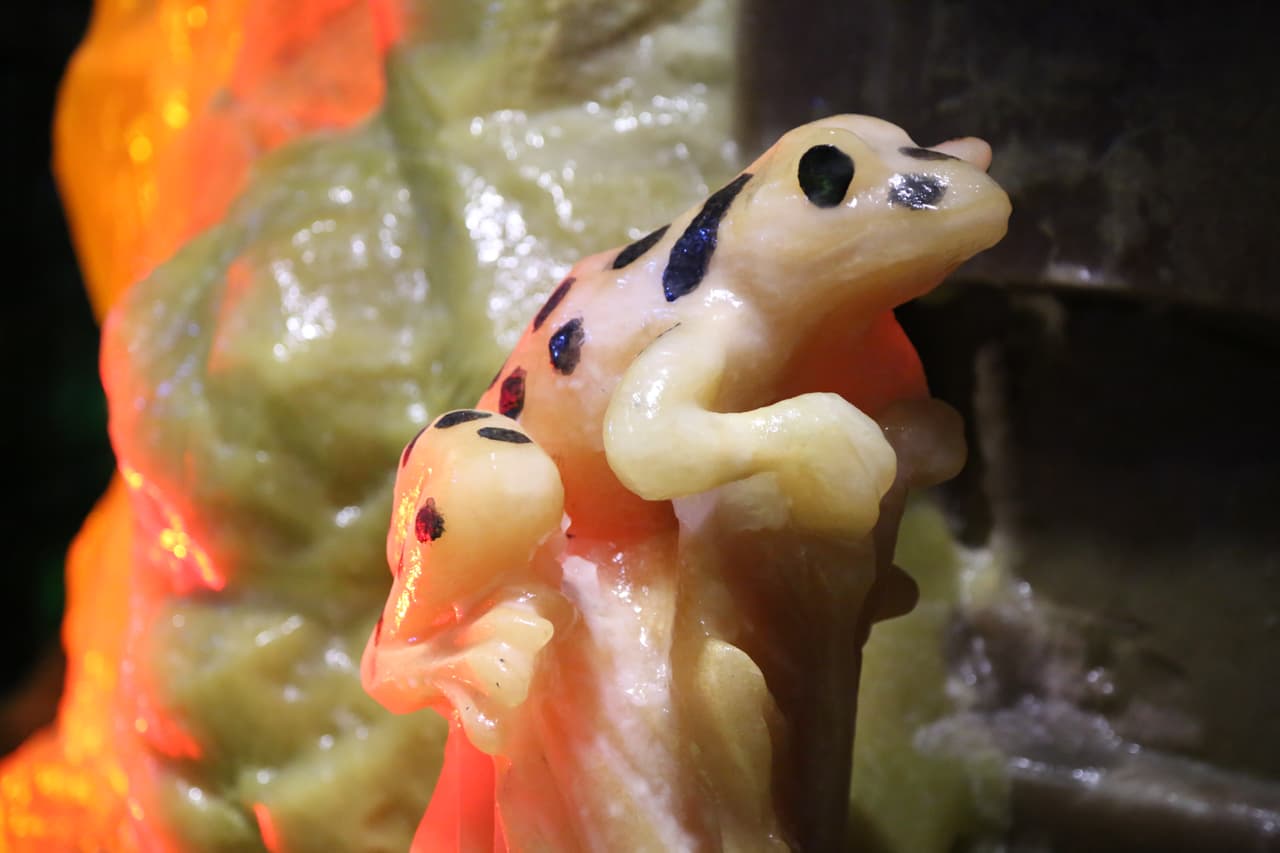 Tortugas, ranas, serpientes y otras criaturas de las selvas tropicales hacen parte de la exhibición Ice Land.