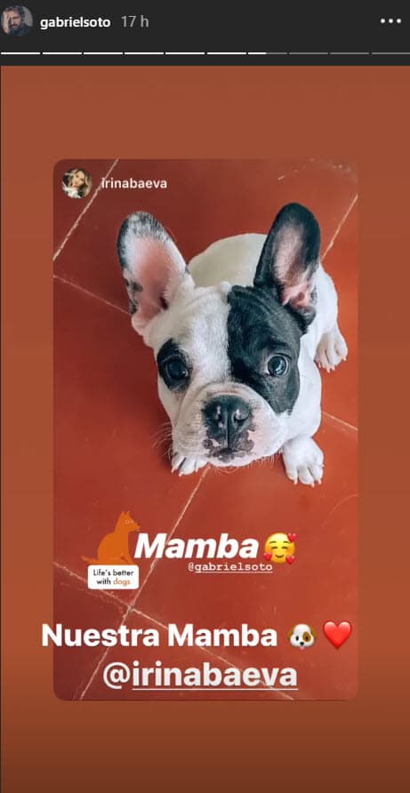Por su parte, el actor mexicano retomó la publicación de su novia y el escribió "Nuestra Mamba", agregando un emoticono de corazón y de perro.