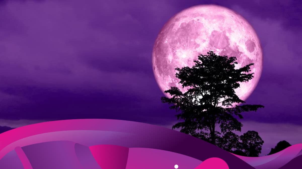 Nuevamente tendremos plenilunio, este 19 de abril de 2019, pero una luna llena muy especial porque se trata de la llamada “luna rosa” o “luna de la primavera”.