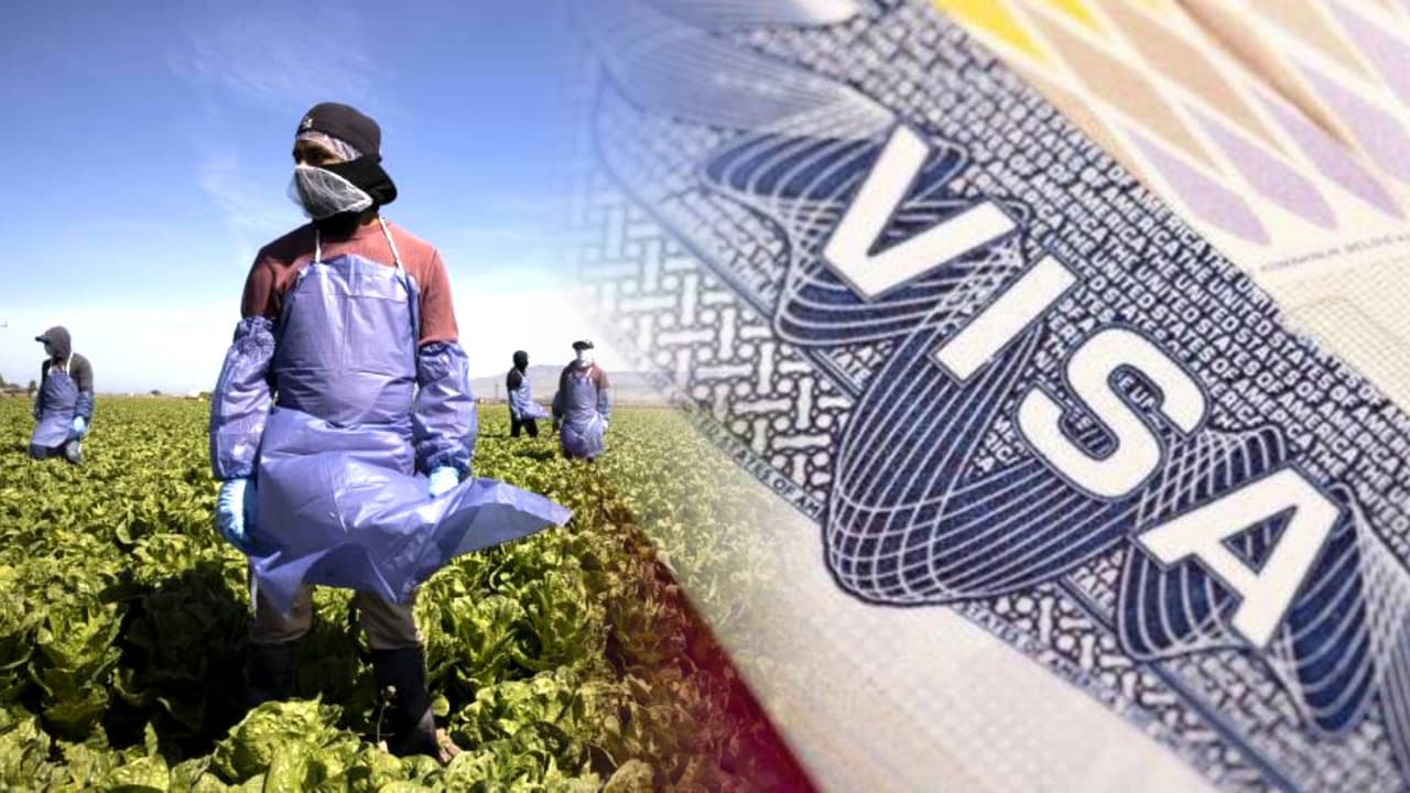 Requisitos y pasos para obtener las visas de trabajo H-2A y H-2B en Arizona