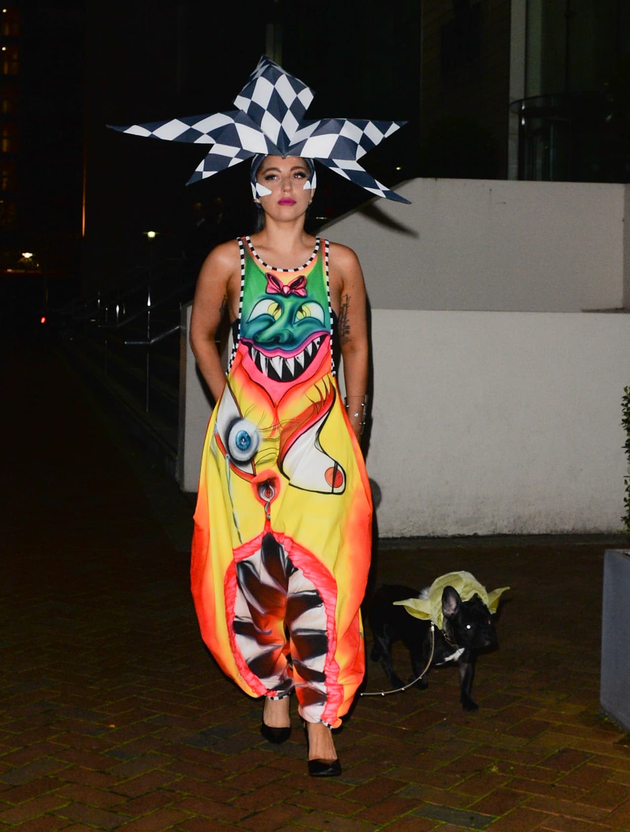 Por aquello de que 'todo se parece a su dueño', nos queda claro que esa extravagante forma de vestir no solo le gusta a ella, su mascota le hace segunda.