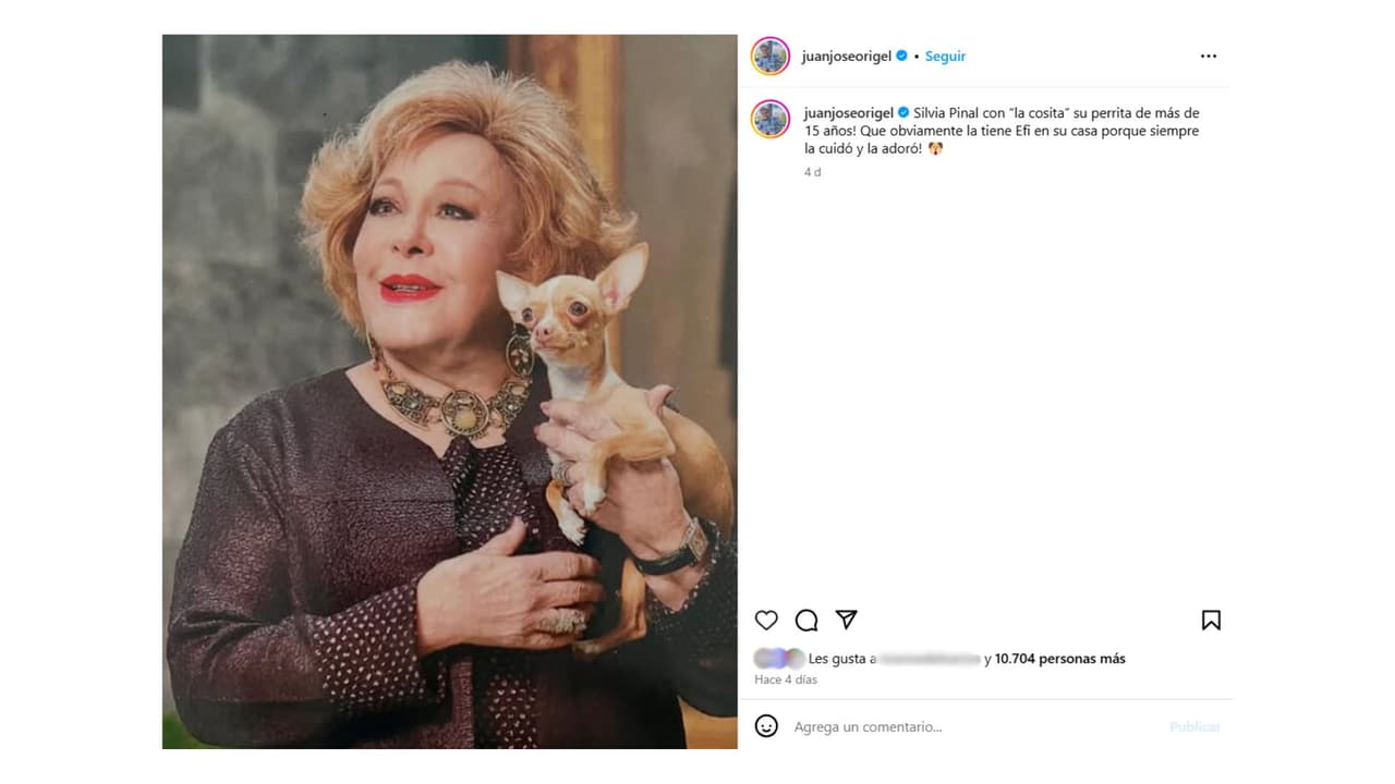 'Cosita' era la fiel mascota de Silvia Pinal y así posaba con ella en fotografías.