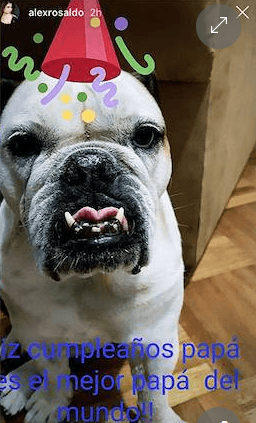 Fiona no se quedó atrás y también felicitó a Eugenio con un gorro de fiesta y un tierno mensaje: "Feliz cumpleaños papá, eres el mejor papá del mundo".