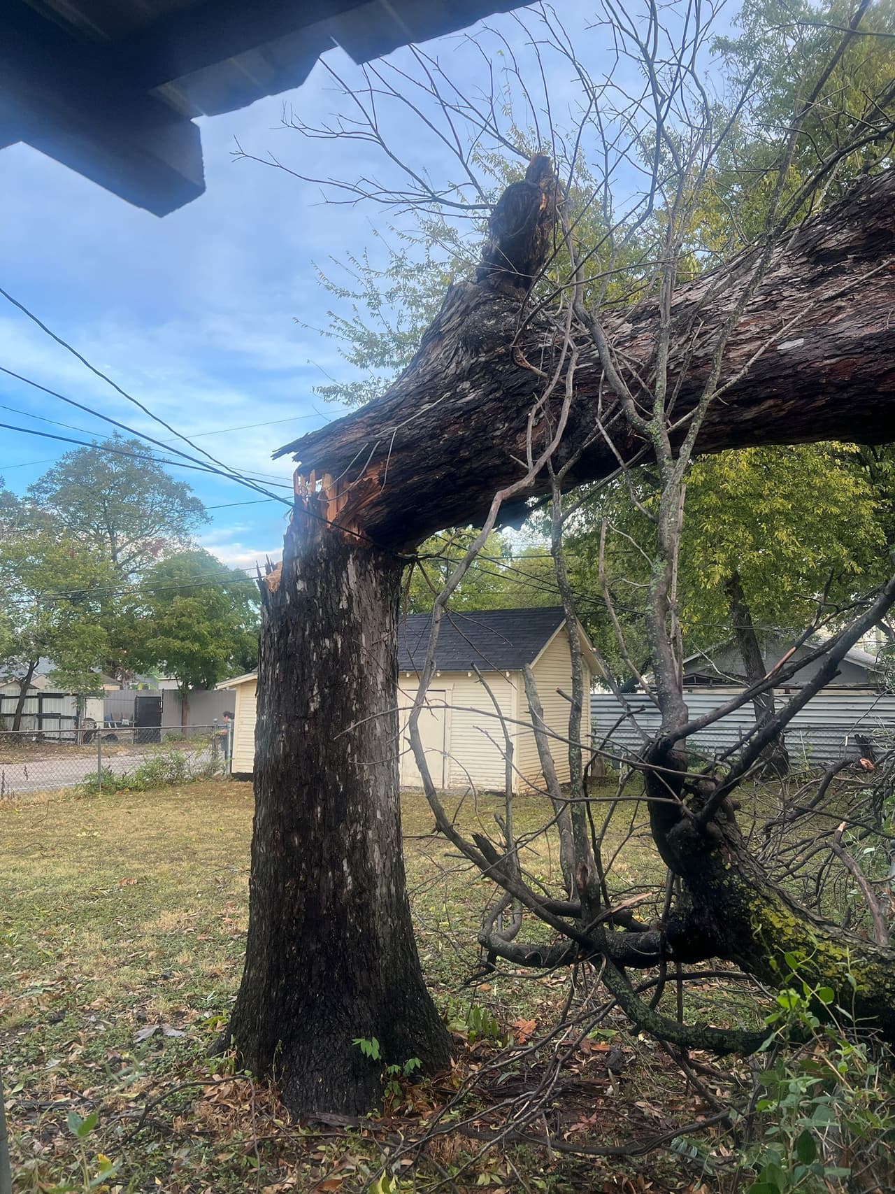 Árboles caídos, techos derrumbados y más daños por fuertes vientos en Fort Worth