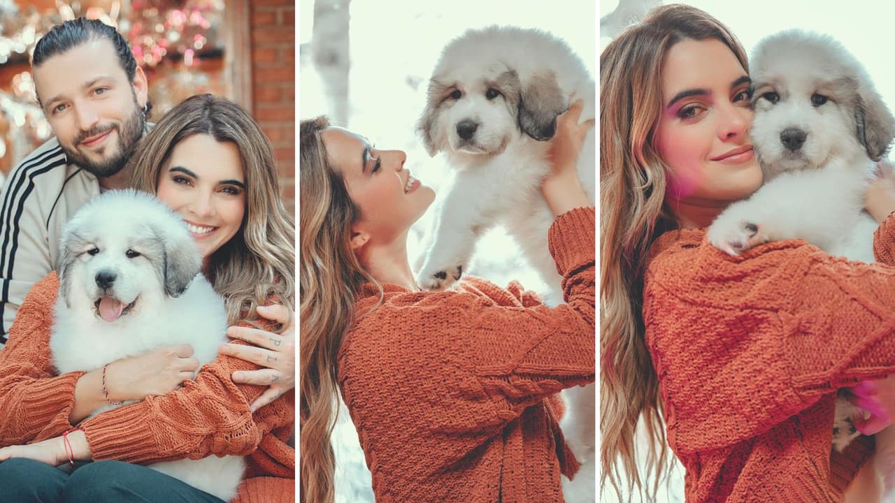 Scarlet Gruber presenta a nuevo integrante de la familia.