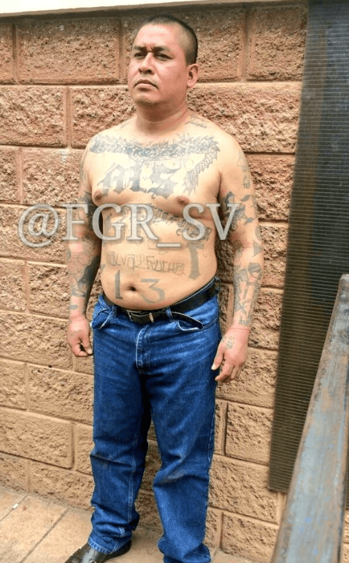 "La Unidad Especializada Contra el Crimen Organizado de la Fiscalía General de la República coordinó el allanamiento en la vivienda de uno de los líderes de la organización terrorista, MS-13, Carlos Ramos Mancia", anunció el gobierno en un comunicado.