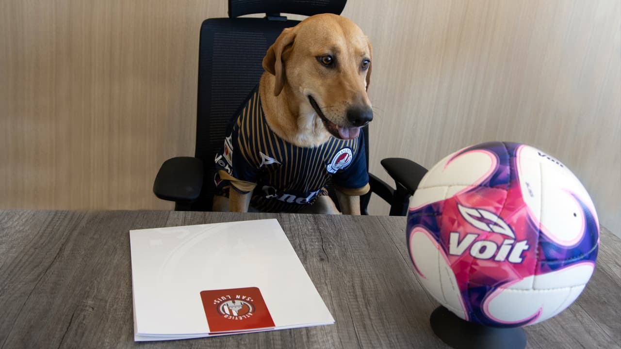 Pablo Guede: "De Monterrey me preocupa todo"