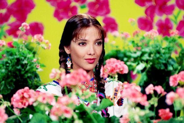 'Guadalupe' y 'María Bonita' también fueron telenovelas en las que participó la actriz. Pero otro papel que se robó los corazones de todos los televidentes fue 'María Isabel'.