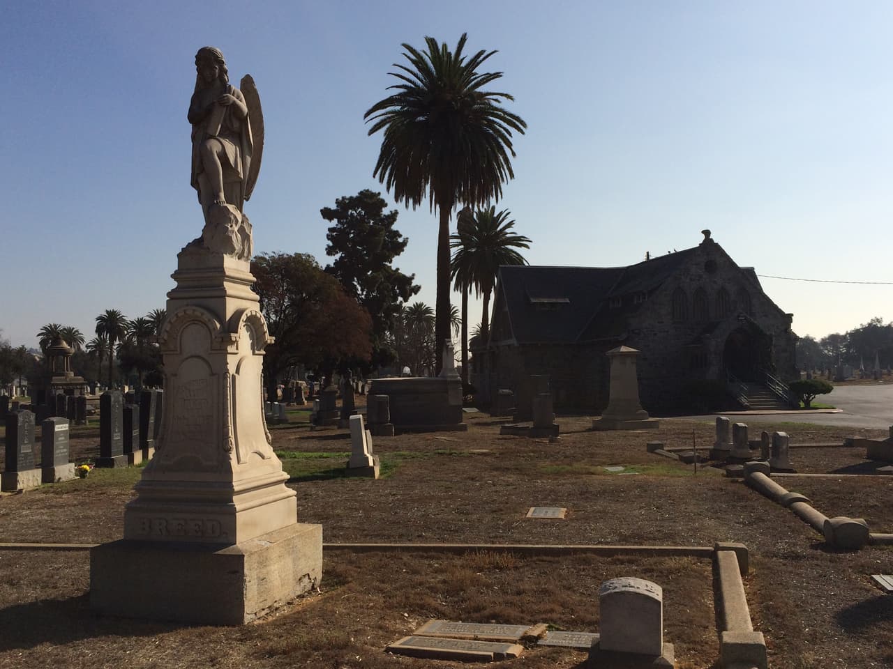 Establecido en 1877, Evergreen sirve como lugar de descanso para al menos 300,000 personas que alguna vez residieron en el sur de California.