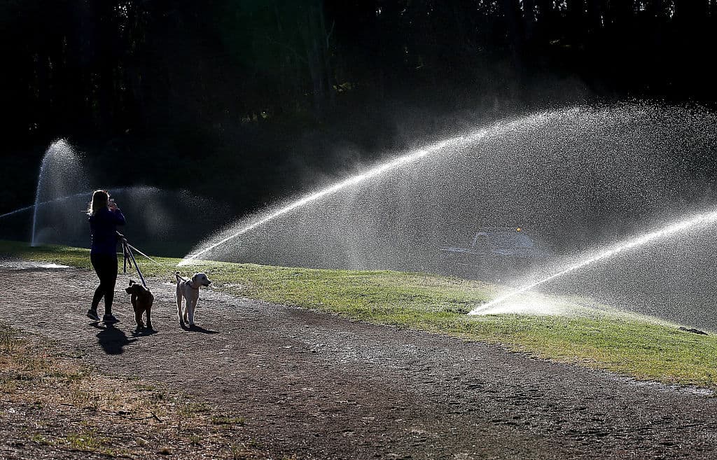 Roseville exige reducir el uso de agua para los jardines