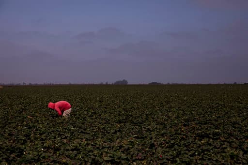 Los funcionarios de salud también informaron que el grupo de infectados en Villa las Brisas no están en contacto con otros trabajadores fuera del hospedaje.
