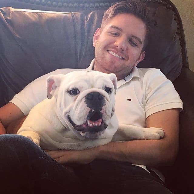 A través de Instagram podemos encontrar a "Benito" bajo el usuario de @benitoelperrolopez.