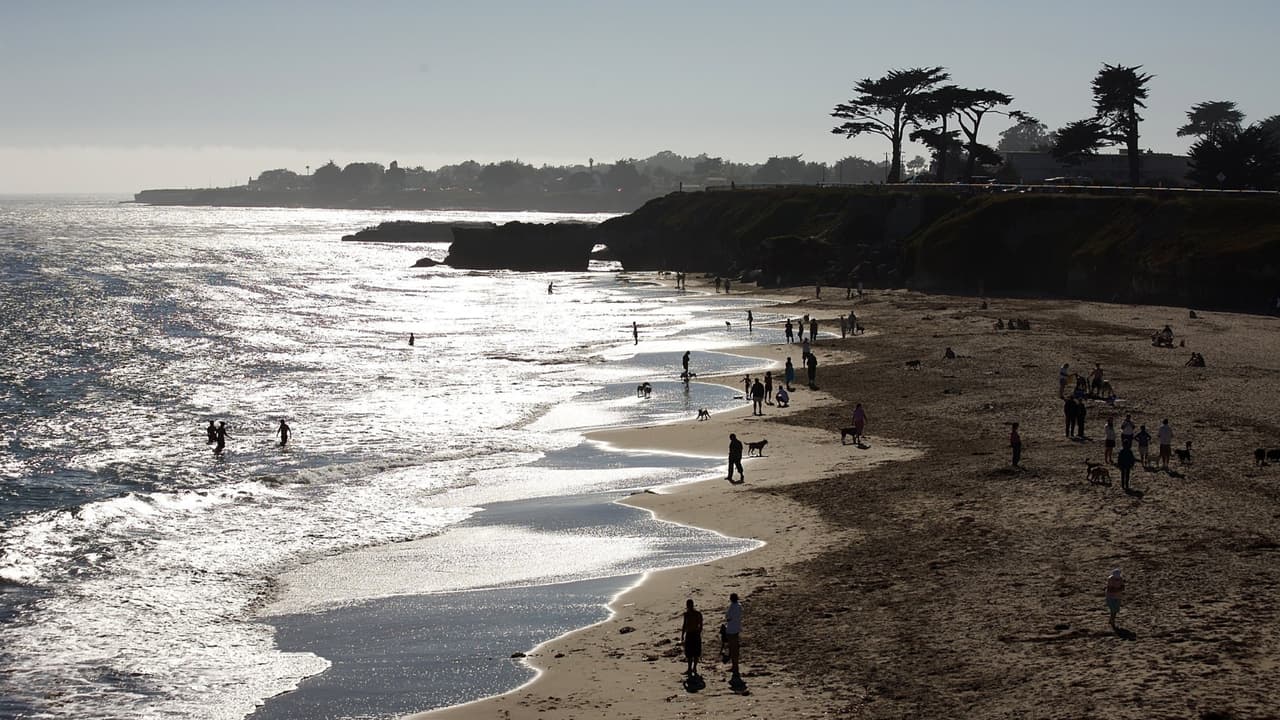 ¡Cuidado con las bacterias! 4 de las 10 playas más contaminadas de California están en el Área de la Bahía