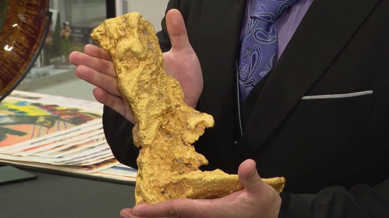 Conoce 'La bota de Cortés', la pepita de oro natural más grande del hemisferio occidental