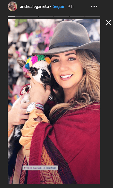 Quienes también decidieron salir a vacacionar fueron Andrea Legarreta y Erik Rubín, acompañados por sus hijas, Mía y Nina.