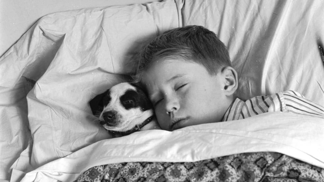 Toma nota, consejos de una experta para ayudar a tus hijos a dormir mejor