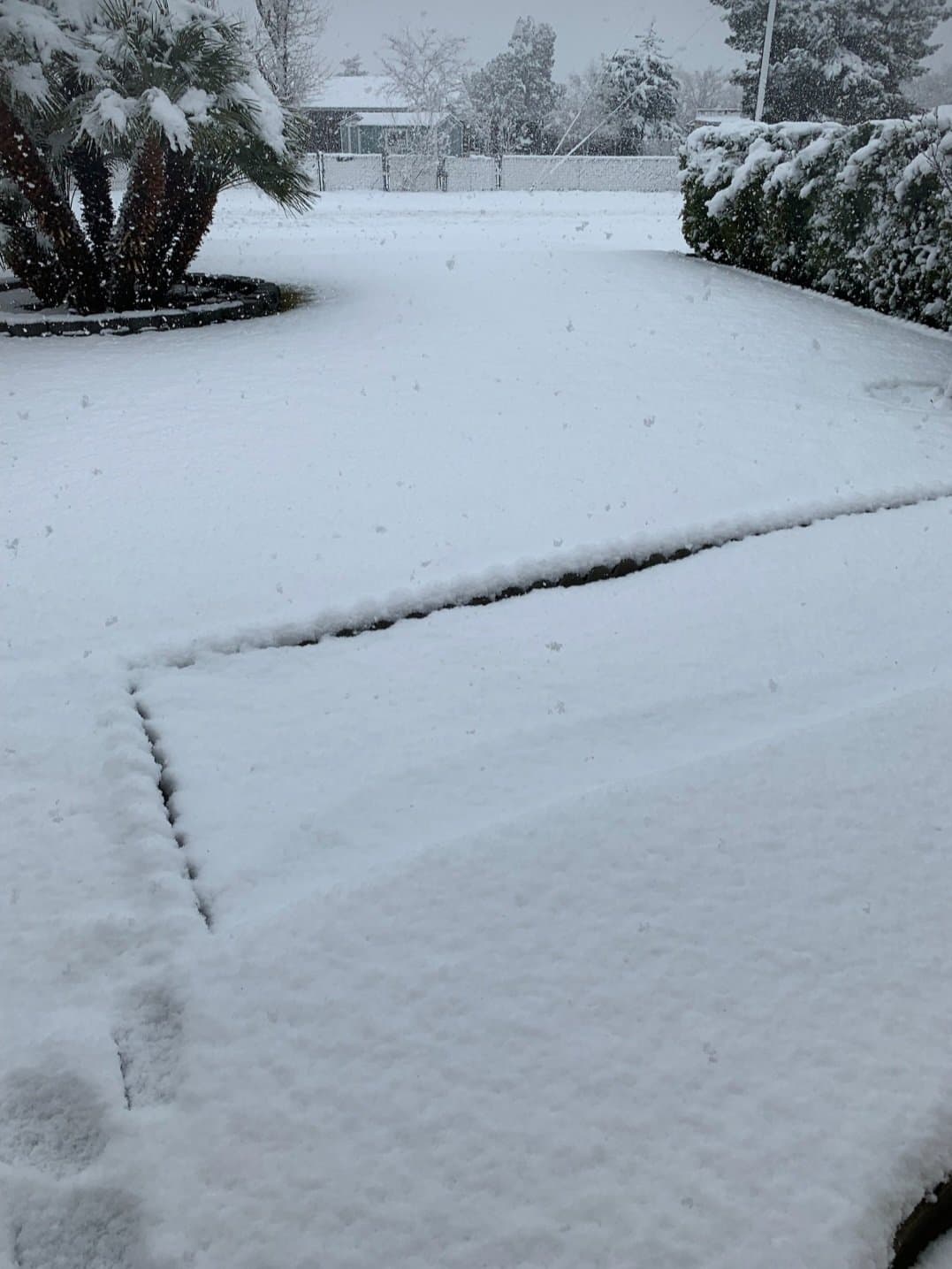 En Hesperia, California, la nieve pintó de blanco calles y autos.
