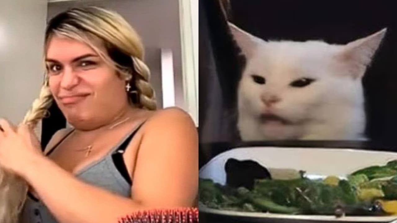 Razones por las que no me gustan los gatos y muchos entenderán (con todo respeto para los 'michis')