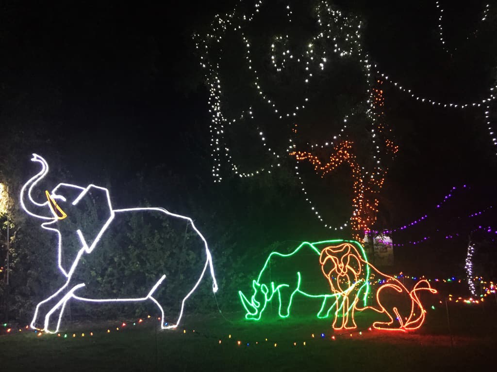 El elefante, el rinoceronte y el león entre los animales dibujados con luces que forman parte de los arreglos de luces en el zoológico de Tucson.