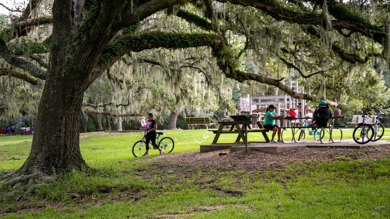 Hay lugares de descanso para admirar la naturaleza que ofrece Brazos Bend de Texas.