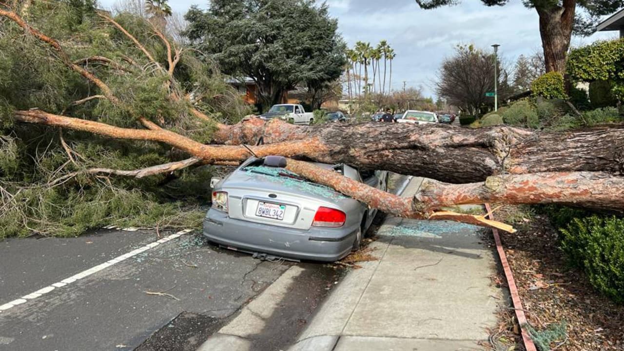 Seguro de auto: ¿Qué cobertura elegir para protegerlo de las tormentas?