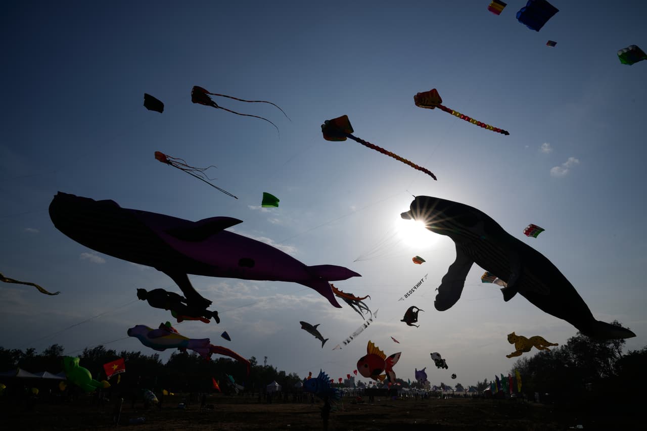 Los participantes vuelan cometas durante el quinto Festival Internacional de Cometas de Tamil Nadu, donde alrededor de 30 voladores de cometas profesionales exhiben más de 200 cometas gigantes, en Mahabalipuram, India, el viernes 14 de agosto de 2026.