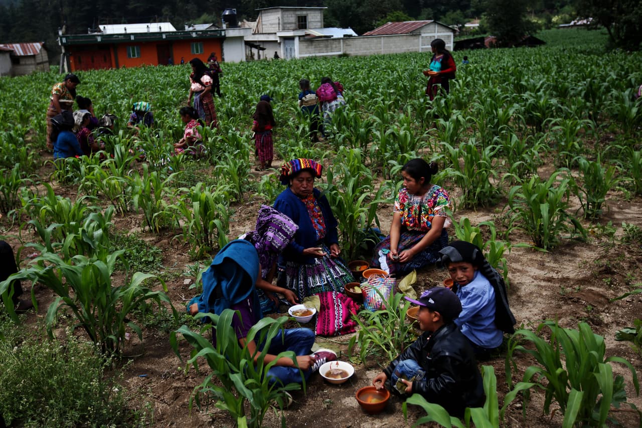 GU64. SAN JUAN OSTUNCALCO (GUATEMALA), 02/06/2018.- Asistentes al funeral de Claudia Gómez González de 20 años, comen entre los maizales hoy, sábado 2 de junio de 2018, en San Juan Ostuncalco (Guatemala). Después de un día entero de velatorio, San Juan Ostuncalco está listo para enterrar hoy a Claudia Patricia Gómez González, una inmigrante guatemalteca que fue asesinada durante un incidente con una patrulla fronteriza en Río Bravo, Laredo (Texas), en la frontera con Estados Unidos. EFE/Esteban Biba