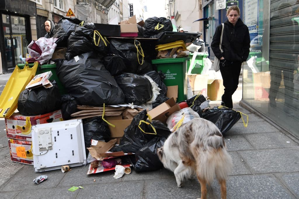 A la espera de la nueva jornada de protestas masivas convocada por los sindicatos, los paros sectoriales ralentizan la actividad de la segunda economía de la Unión Europea (UE) y
<b>toneladas de basura se amontonan en sus principales ciudades</b>.