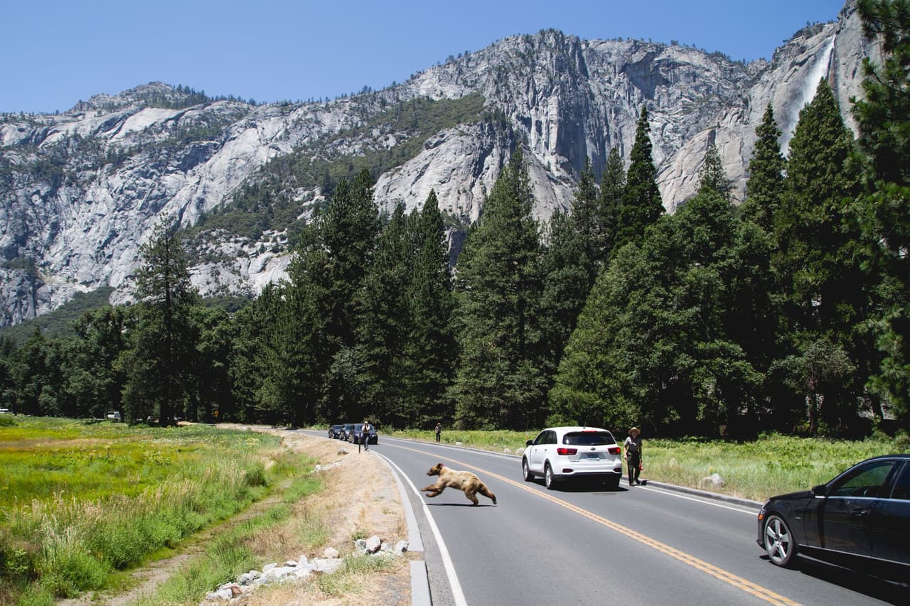 Parques estatales prohíben los campamentos durante tres semanas debido a orden de quedarse en casa