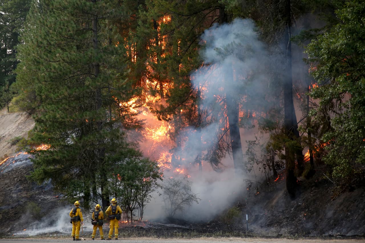 Miles de personas han sido evacuadas de las zonas afectadas, mientras los bomberos luchan las 24 horas del día (y la noche) por contener las llamas.