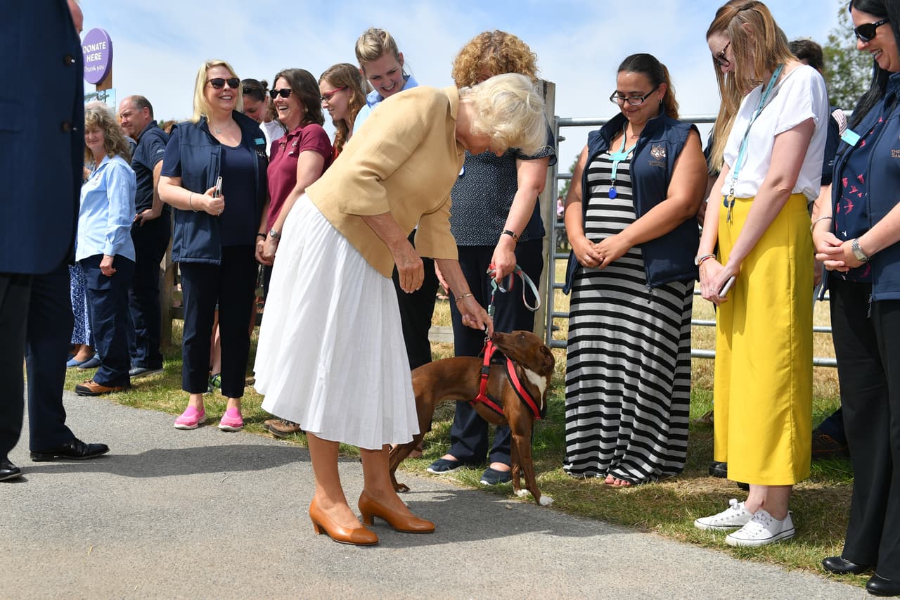 Durante su visita oficial, Camilla Parker tuvo la oportunidad de conversar con personas que han visitado el santuario, algunas de las cuales acudieron al encuentro junto a sus mascotas.