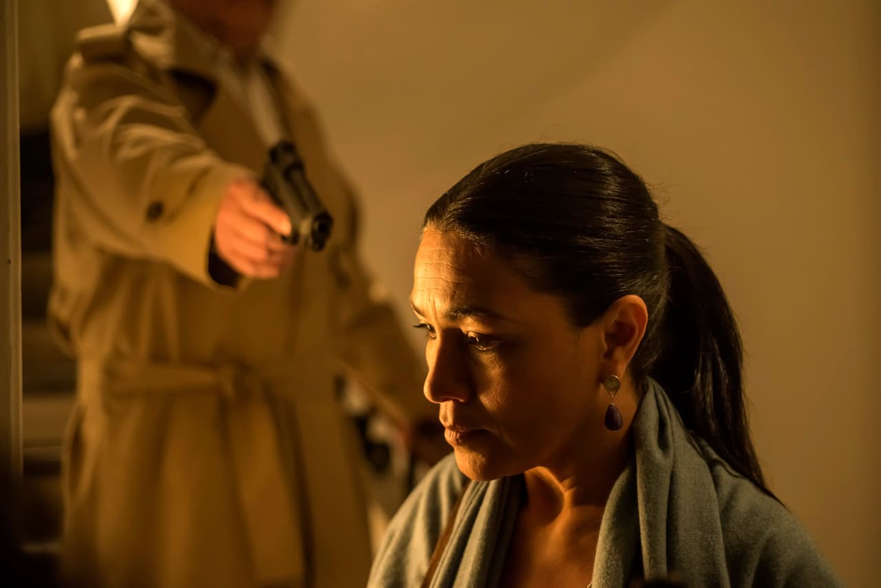 Pero el general no se quedó de brazos cruzados y buscó a los responsables de su caída.