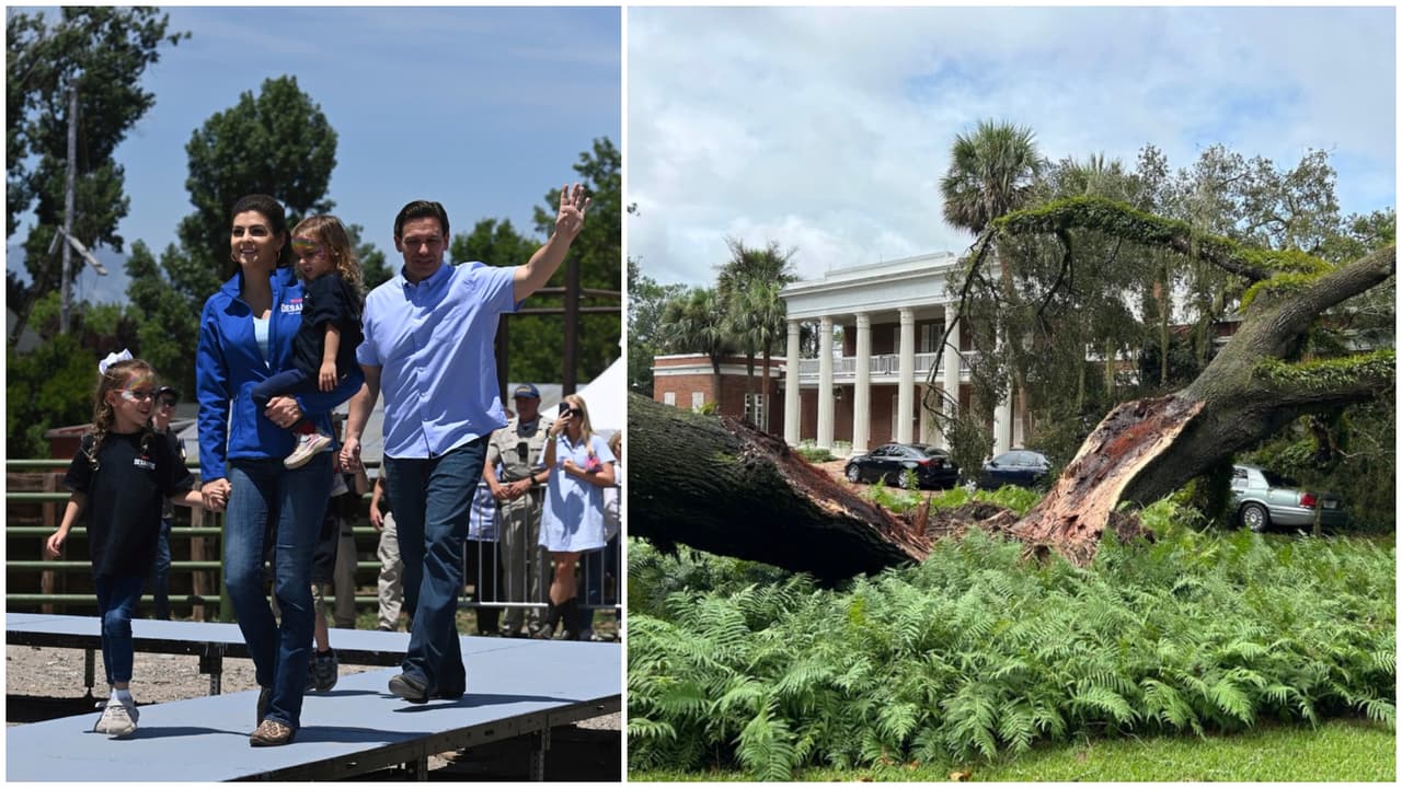 Un roble de más de 100 años cae en mansión del gobernador DeSantis tras huracán Idalia: Su familia resulta ilesa