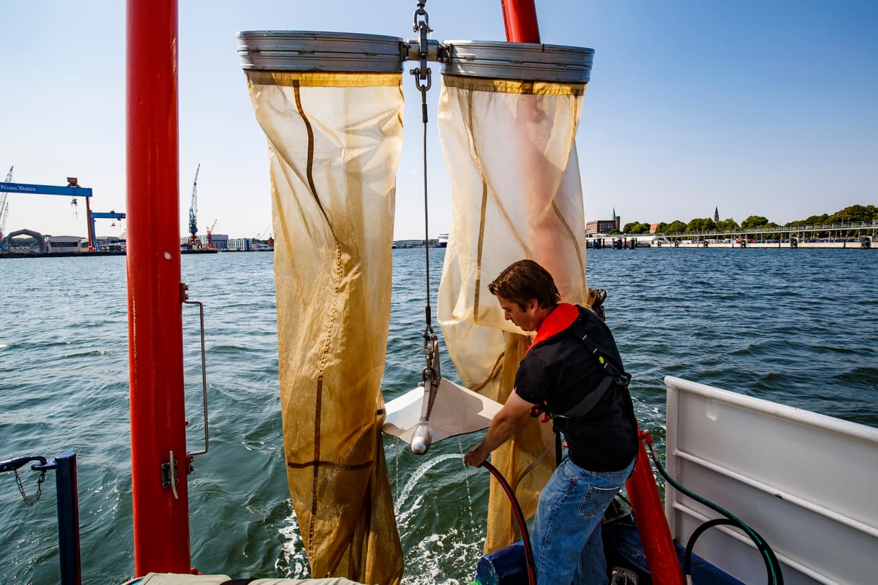 El estudio presentado en la Cumbre del Clima en Madrid identificó más de 900 zonas costeras y mares semicerrados en todo el mundo que son objeto de los efectos de la eutrofización (enriquecimiento excesivo de las aguas con nutrientes o materia orgánica). De ellas, más de 700 tienen problemas de hipoxia (falta de oxígeno).