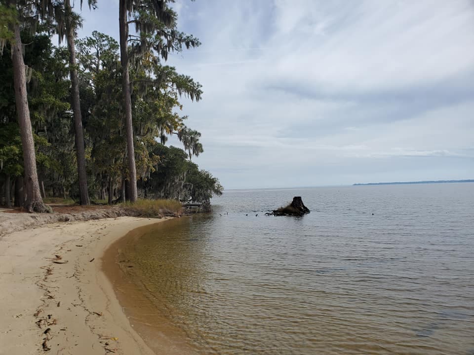 <b>Goose Creek State Park</b>
<br>
<b>Sitio web</b>:
<a href="https://www.ncparks.gov/state-parks/goose-creek-state-park">https://www.ncparks.gov/state-parks/goose-creek-state-park</a>
<br>
<b><a href="https://maps.app.goo.gl/YMBE35BQynvEsf9a7">Cómo llegar</a> </b>
<br>
<br>Este parque está ubicado en Washington, Carolina del Norte, y es famoso por sus vistas panorámicas del estuario de marea de Goose Creek. El parque ofrece rutas de senderismo, pesca, paseos en bote y oportunidades para hacer picnic.