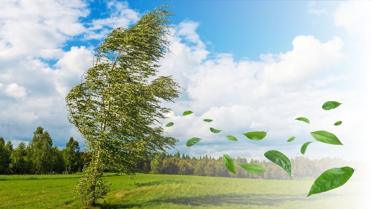 Frente frío traerá fuerte viento y descenso de temperatura al norte de Texas