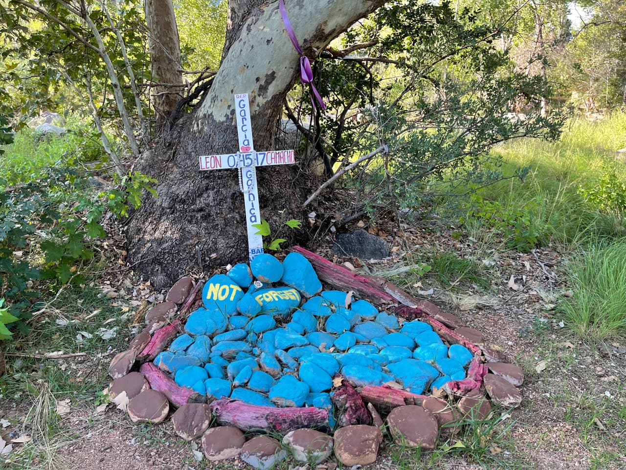 En 2017 una familia hispana perdió a varios miembros en uno de esos incidentes. No es un lugar peligroso solo qué hay que estar atentos.