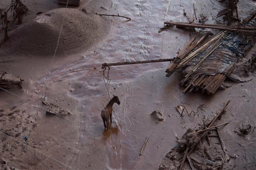 Un caballo lucha contra el barro.